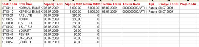 netsis muhasebe faturalaştırma